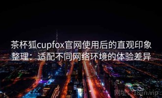 茶杯狐cupfox官网使用后的直观印象整理：适配不同网络环境的体验差异