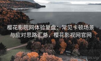 樱花影院网体验复盘：常见卡顿场景与应对思路汇总，樱花影视网官网