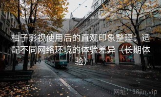 柚子影视使用后的直观印象整理：适配不同网络环境的体验差异（长期体验）