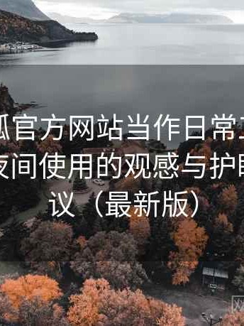 把茶杯狐官方网站当作日常工具后的感受：夜间使用的观感与护眼设置建议（最新版）